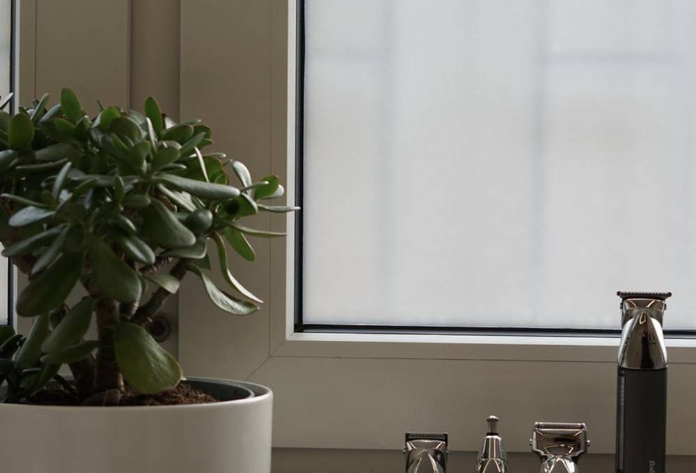 Pflanze am Fenster neben Pflegeprodukten
